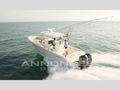 Cobia 344 CC