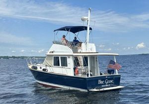 Sabre 36 Fly Bridge Sedan 2003 Sabre 36 Fly Bridge Sedan boat on water, featuring "Blue Goose" name and American flag.