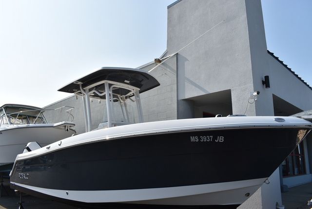 Robalo R242
