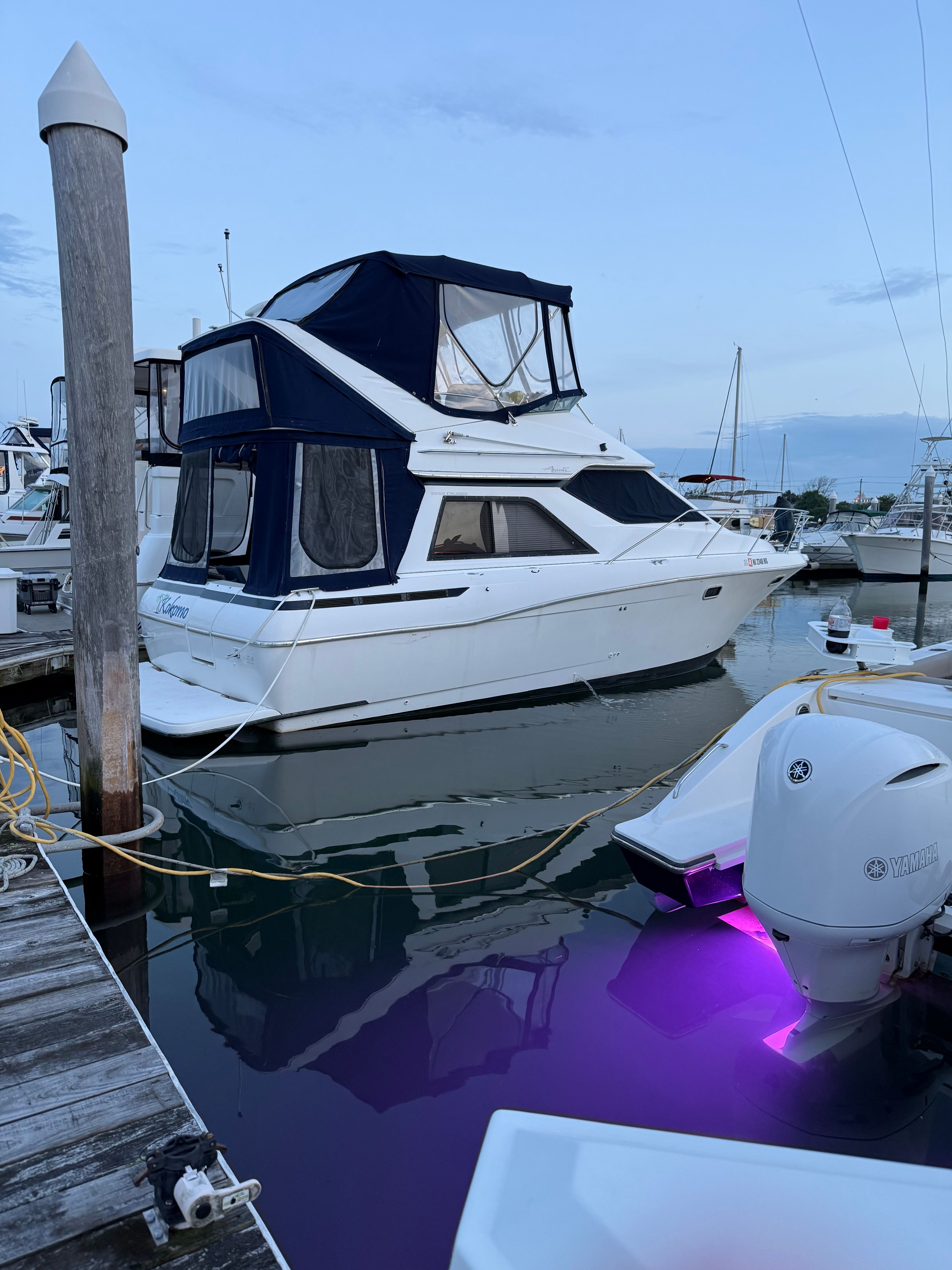 Bayliner AVANTI COMMAND BRIDGE