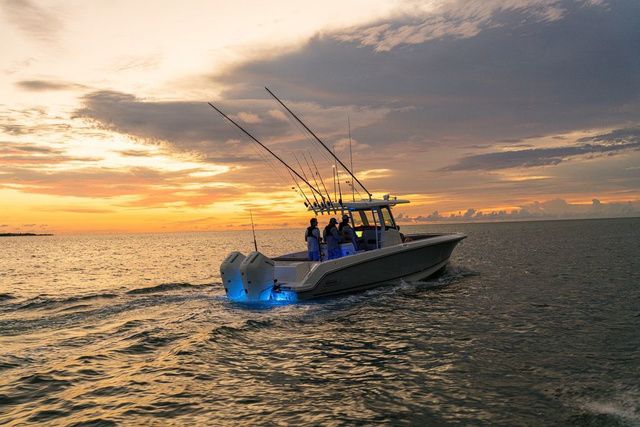 Boston Whaler 330 Outrage