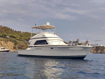 1988 Bertram 43 Convertible
