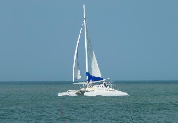 Custom Roake 50 Sailing catamaran Roake 50 on calm sea, 2012 model, with white sails.