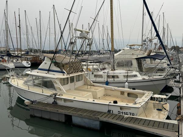 1981 Bertram 31 Flybridge Cruiser