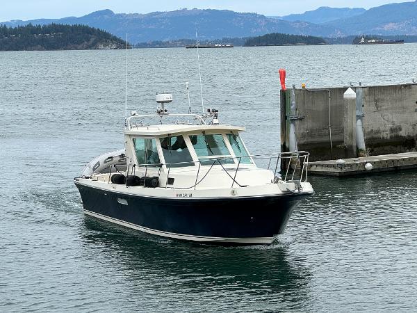 Albin 31 Tournament Express boats for sale 