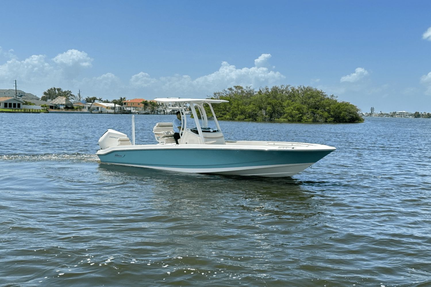 2025 Boston Whaler 250 Dauntless