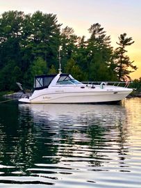 2002 Rinker Fiesta Vee 342