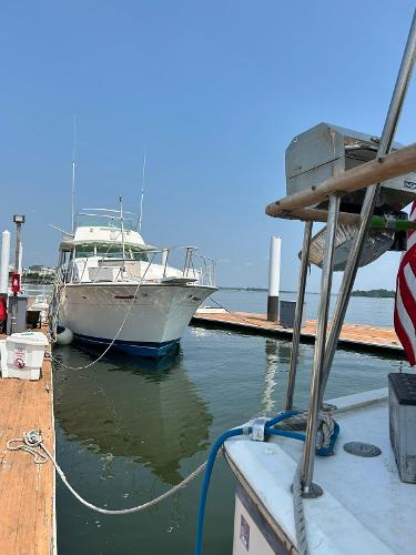 1980 Bertram 58 Motor Yacht