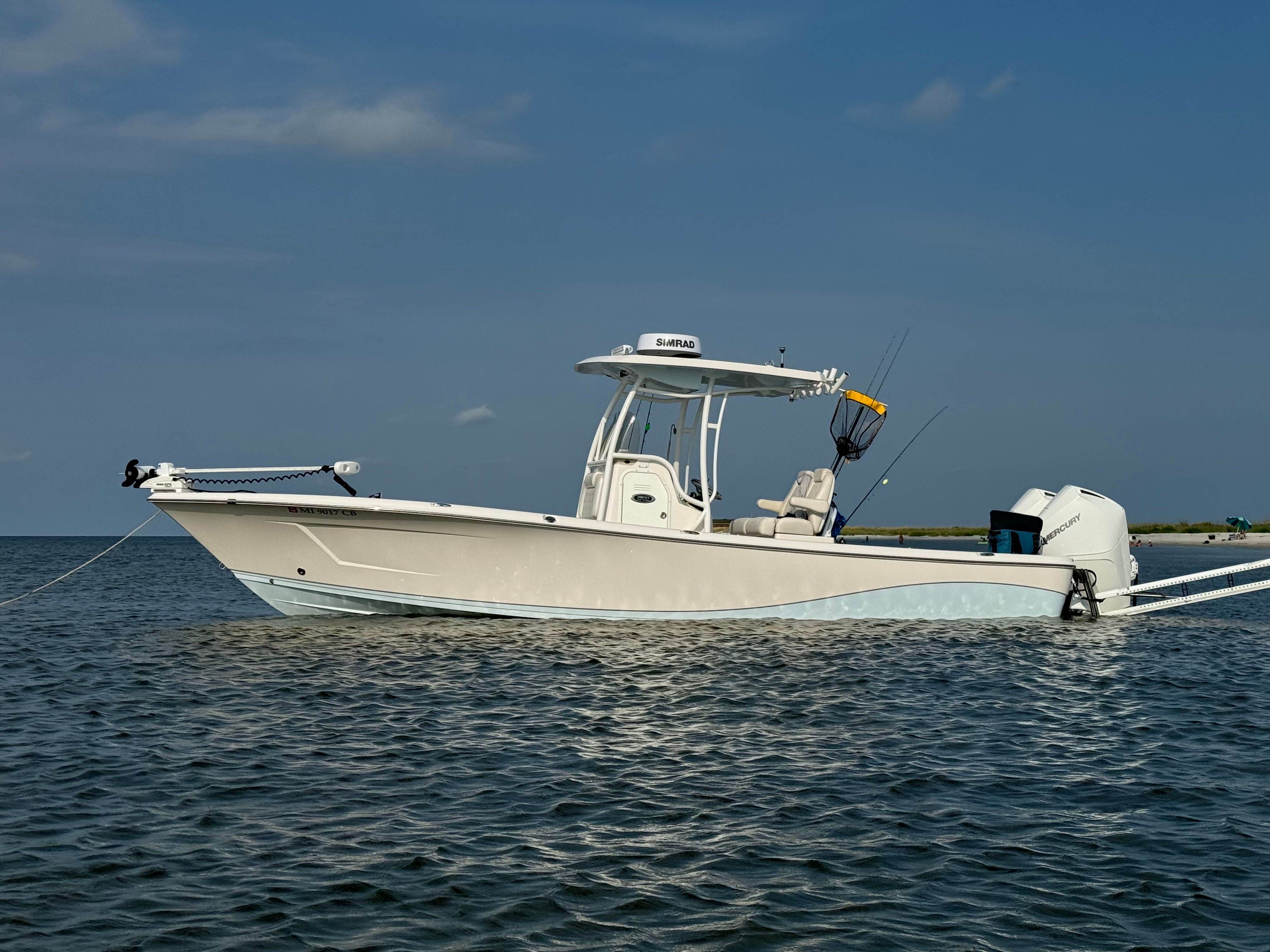 2019 Blue Wave 2800 Pure Hybrid