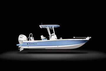 2026 Robalo 246 Cayman