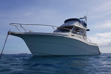 2006 Rodman 870 Fly