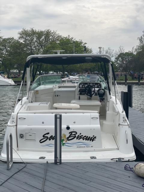 Larson Cabrio 290