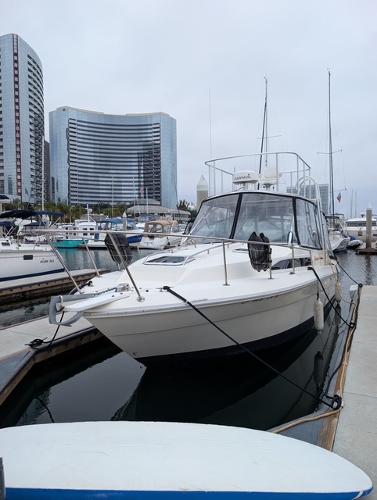 Sea Ray 270 Sundancer Black Pearl