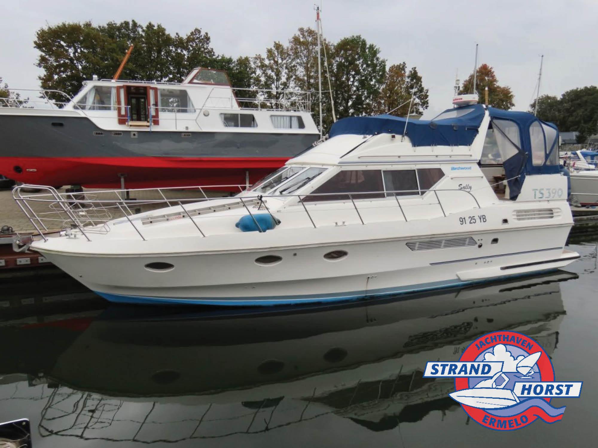 1994 Birchwood TS 390