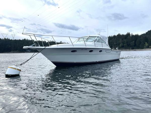 Tiara Yachts 3300 Open 1988 Tiara Yachts 3300 Open boat anchored on calm water with forested shoreline.