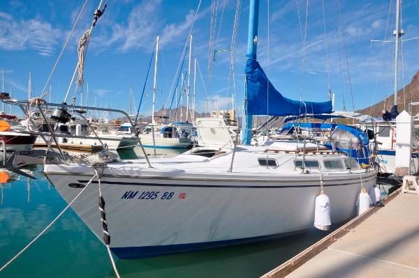 san carlos mexico yacht sales