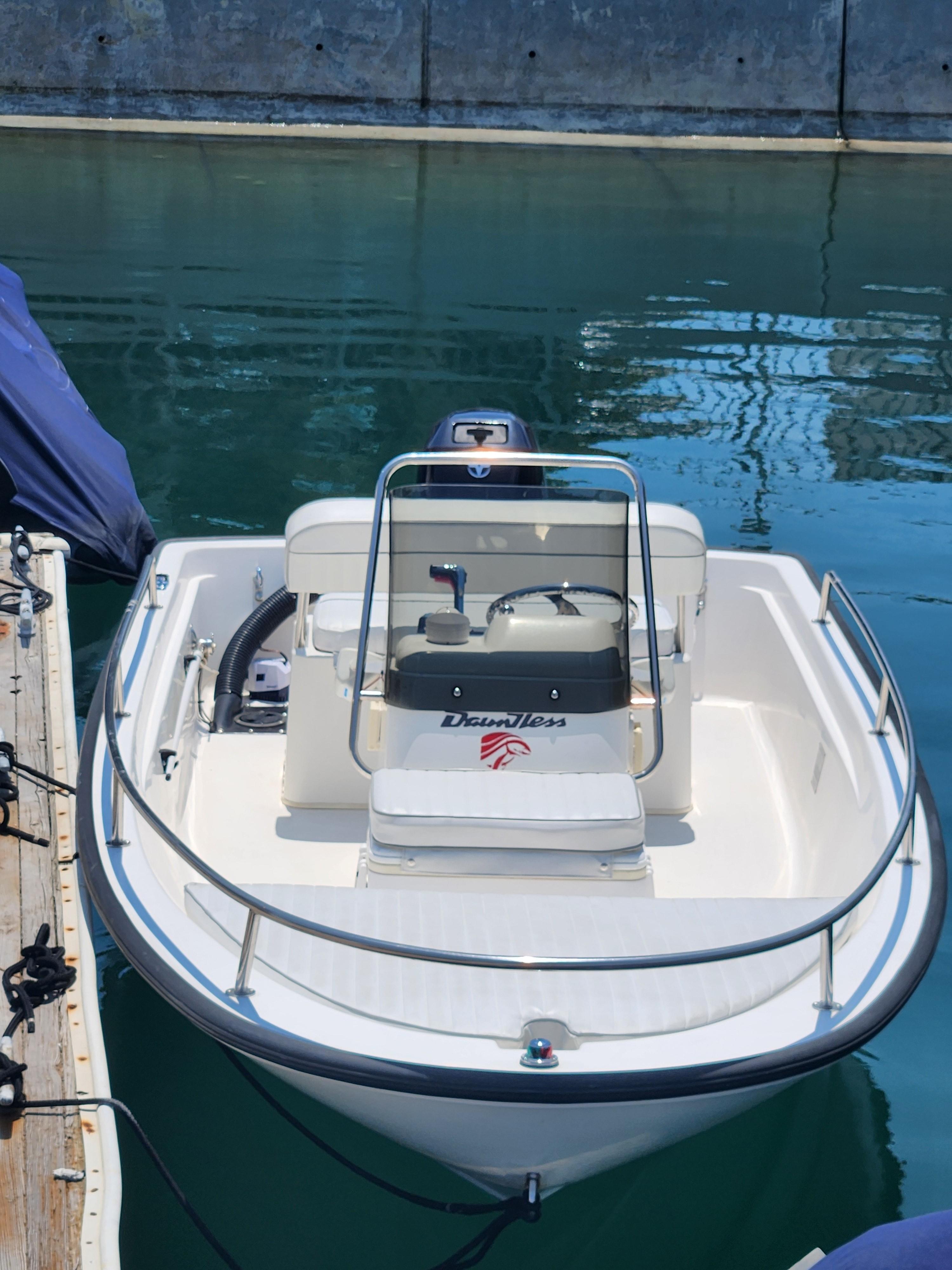 1998 Boston Whaler Dauntless 13