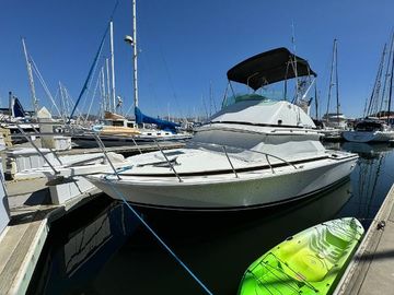 1987 Bertram 28 Flybridge
