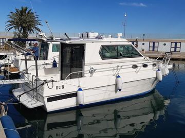 1988 Dellapasqua DC 8