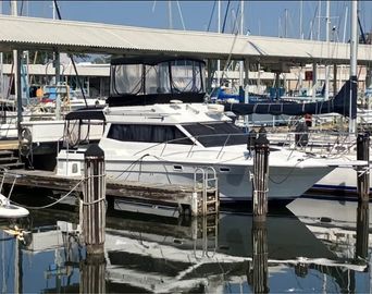 1988 Chris-Craft Amerosport Sedan/ Fly Bridge