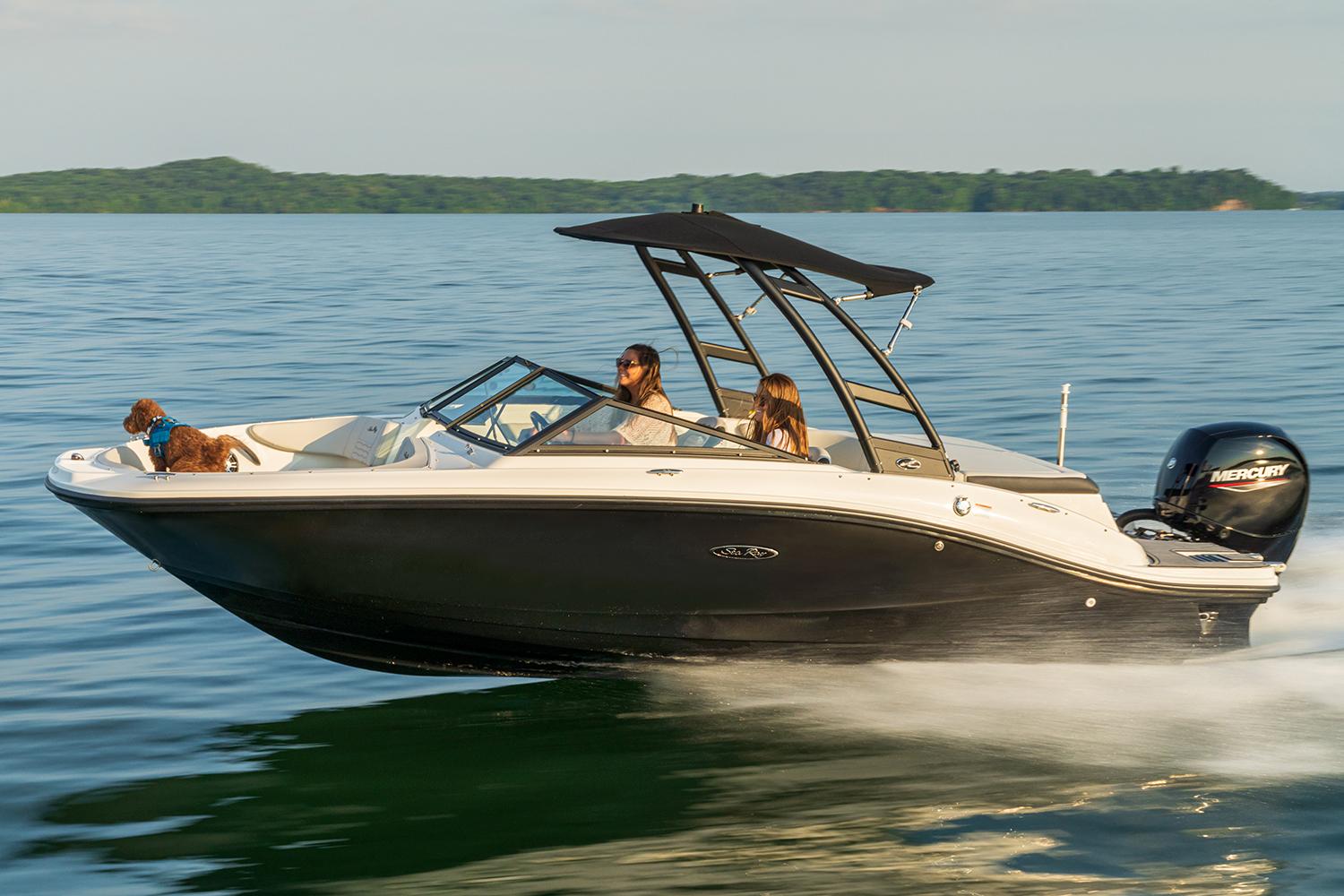 2025 Sea Ray SPX 190 OB, Virginia Beach Virginia - boats.com