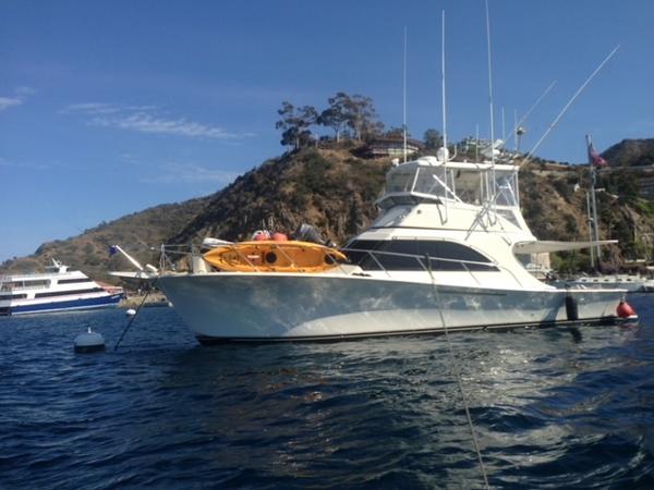 1991 Jersey 44 Convertible Sportfisherman