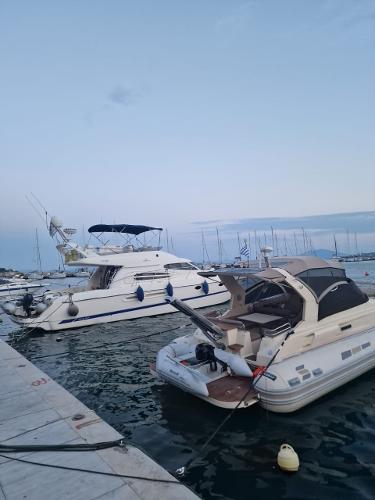 Cranchi Atlantique 48