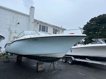 2020 Key West 239 DFS