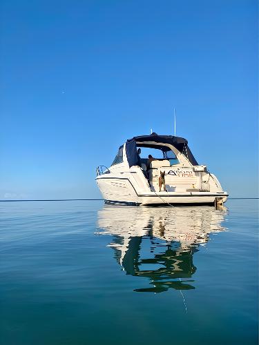 Bayliner 4085 Avanti