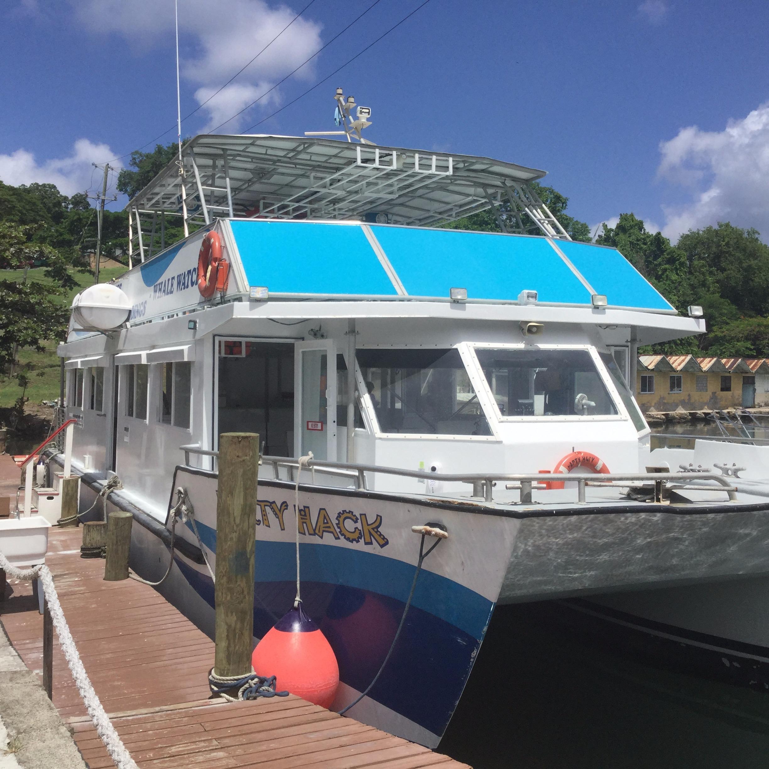 catamarans for sale st lucia