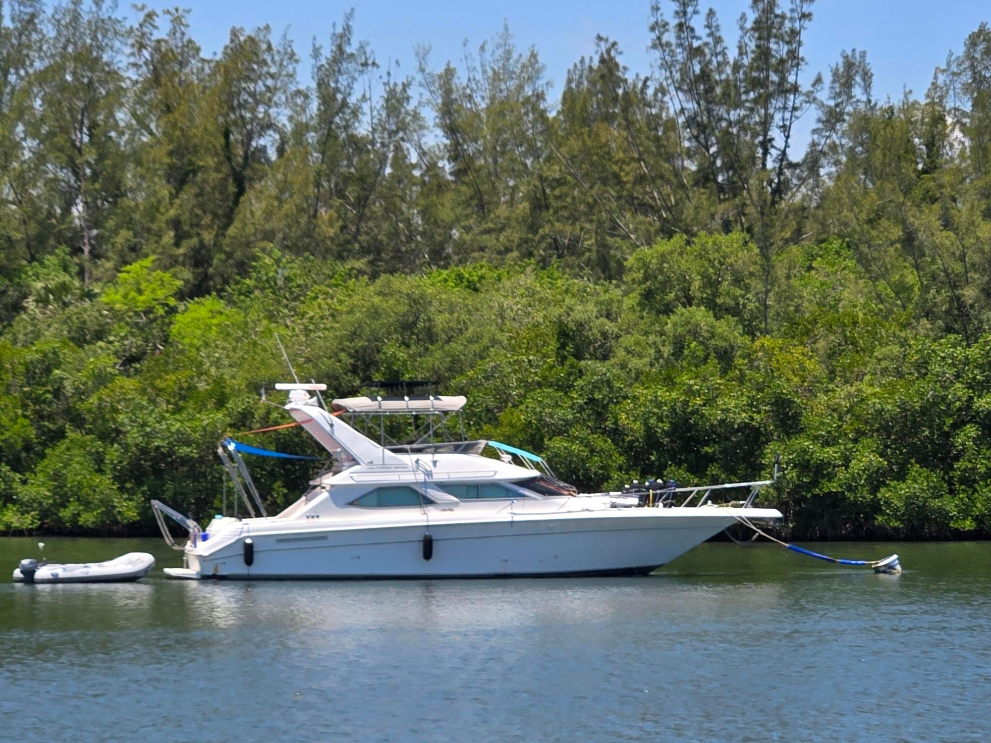 Sea Ray 440 Express Bridge 1995 Sea Ray 440 Express Bridge yacht anchored near lush green shoreline.
