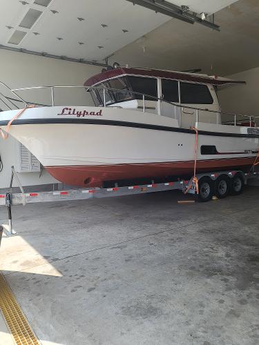 2020 Nord Star 31 plus