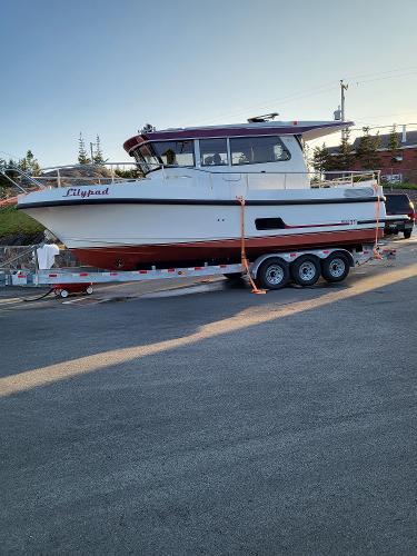 2020 Nord Star 31 plus