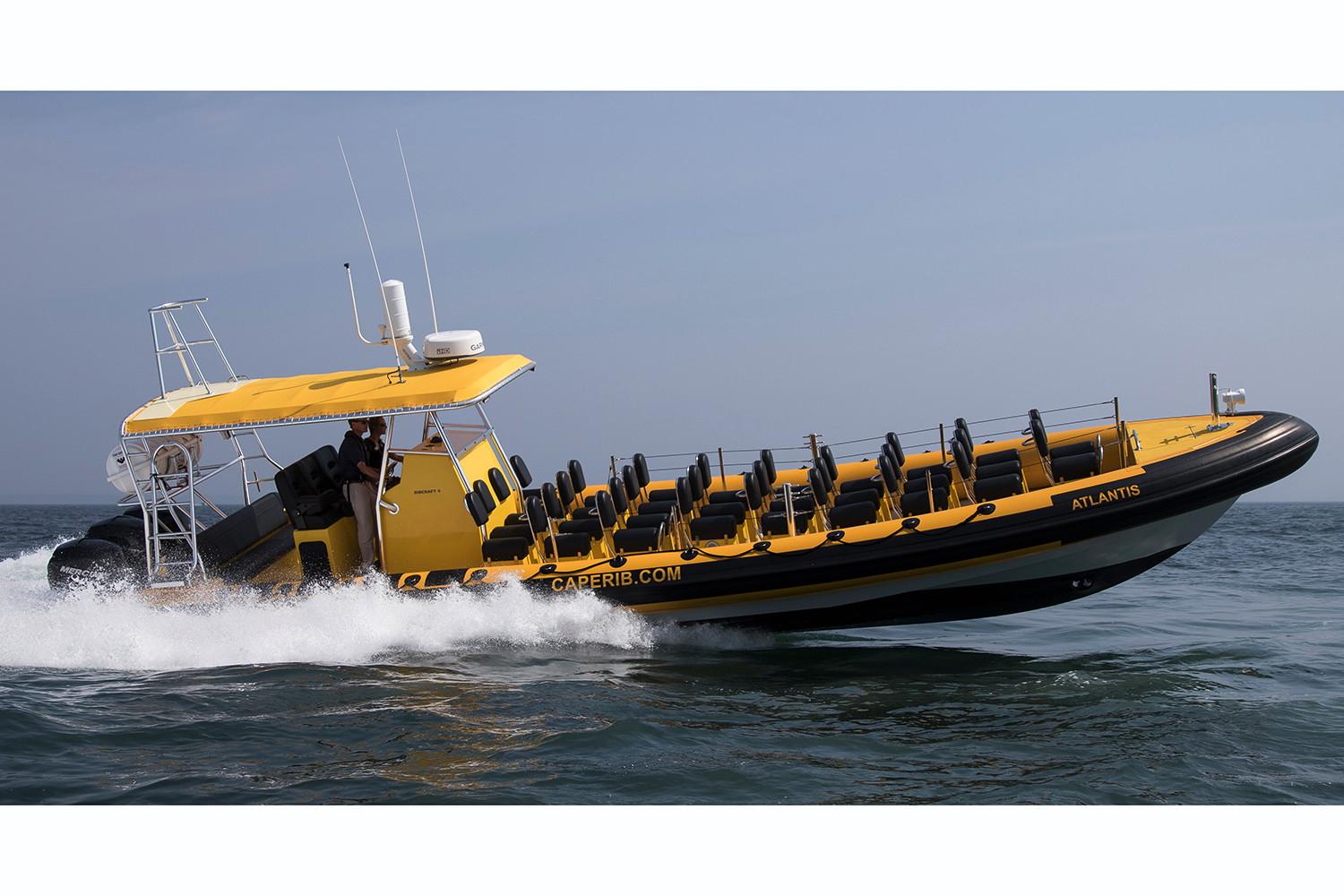 Ribcraft Boat image