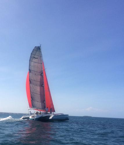 2016 Dragonfly dragonfly 32