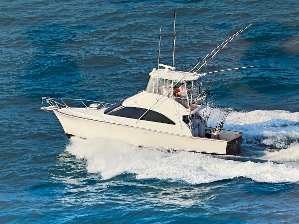 Ocean Yachts Saltwater Fishing for sale and for rent. Ads and offers