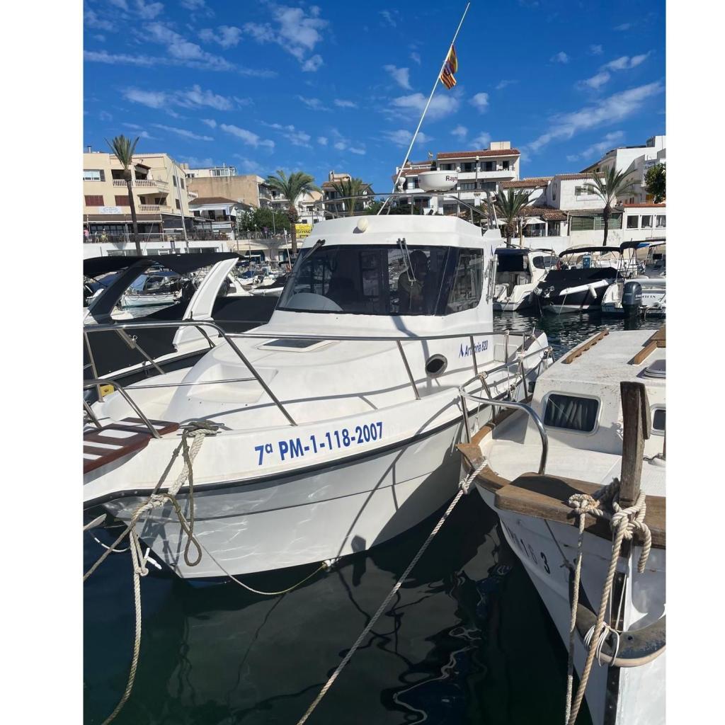 2007 Pilothouse Artabea 820