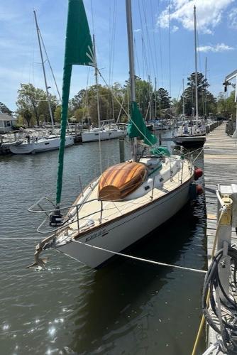 Tartan 37
