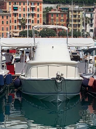 1973 Bertram 31 Sportcruiser