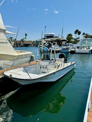 Boston Whaler 17 Montauk