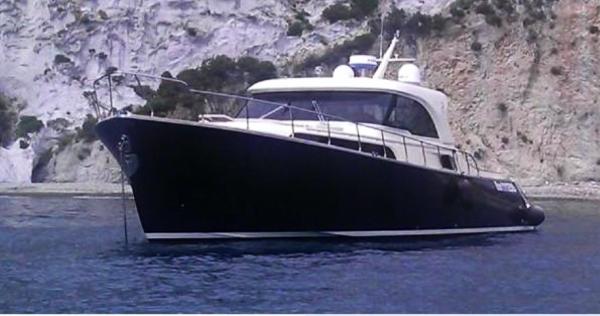 Mochi Craft 51 Dolphin