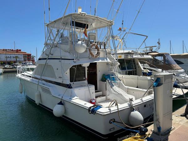 Bertram 46