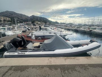 2021 Brig Eagle 8