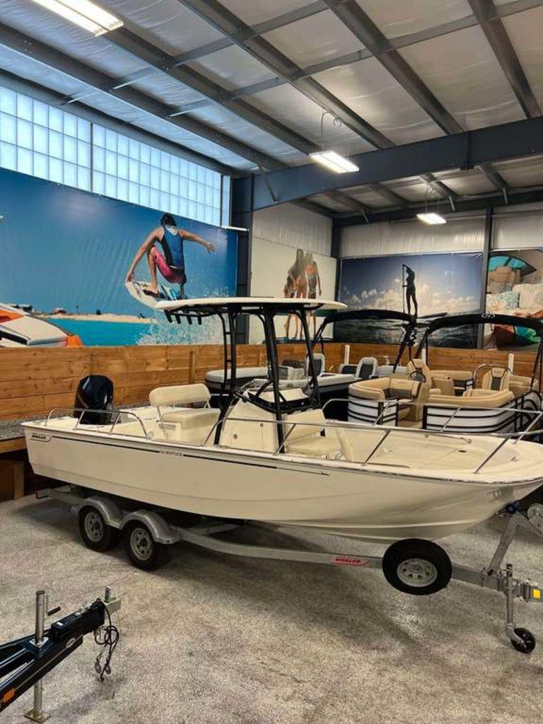 Boston Whaler 210 Montauk