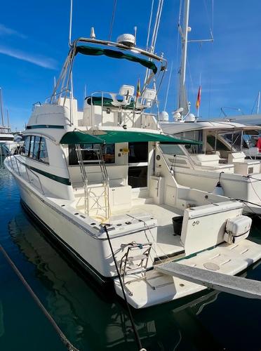 Riviera 43 Open Flybridge Platinum
