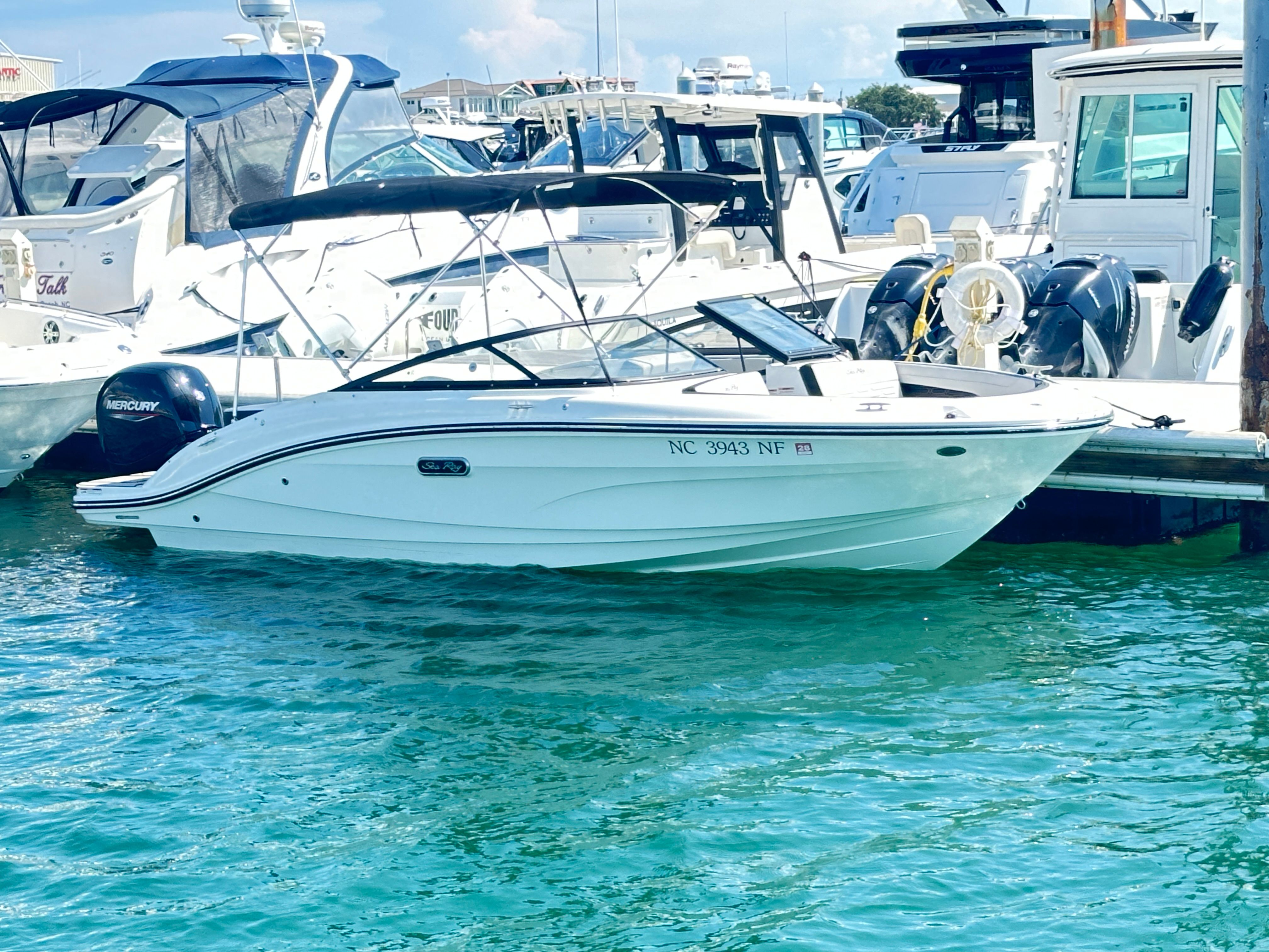 2025 Sea Ray SPX 190 Outboard