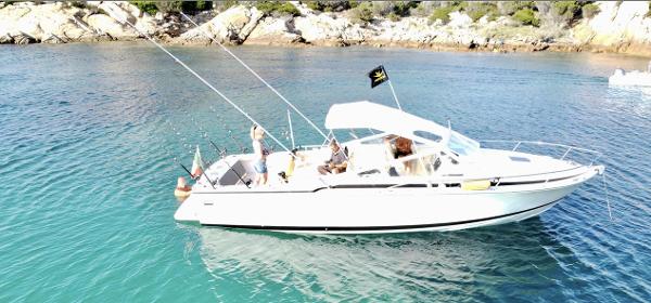 1990 Bertram 28 Moppie