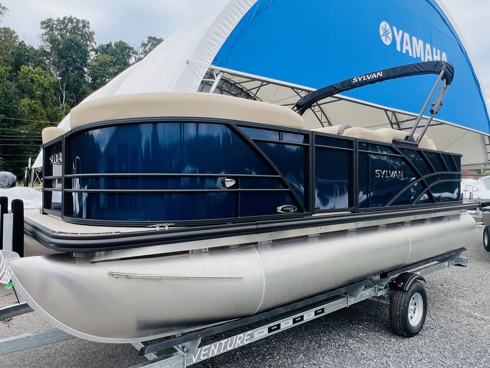 Sylvan 8520 Party Fish