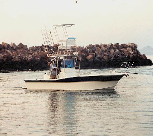 1989 Correct Craft Fish Nautique