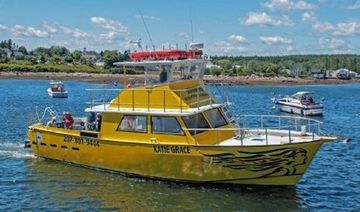 1978 Marine Management Flybridge Commercial Passenger